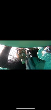 青の洞窟専門店　沖縄ダイビングショップ和に投稿された画像（2023/5/27）