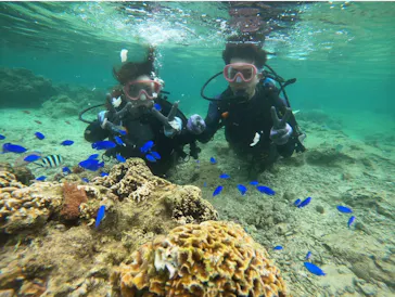 武藤潜水に投稿された画像（2023/5/27）