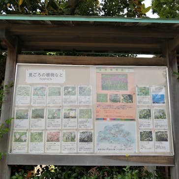 三溪園に投稿された画像（2023/5/27）