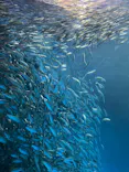 名古屋港水族館に投稿された画像（2023/5/27）