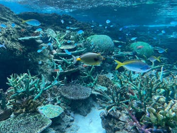 名古屋港水族館に投稿された画像（2023/5/27）