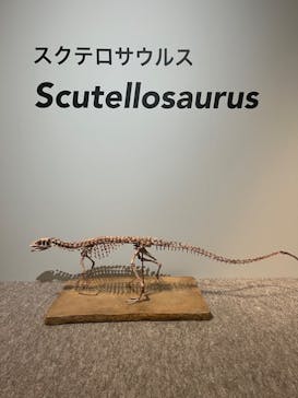 国立科学博物館に投稿された画像（2023/5/27）