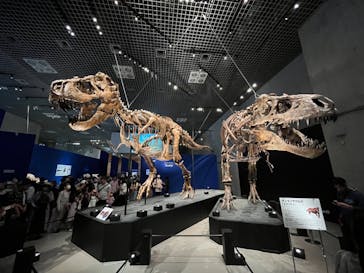 国立科学博物館に投稿された画像（2023/5/27）