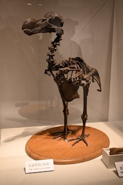 国立科学博物館に投稿された画像（2023/5/27）