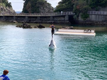 下田海中水族館に投稿された画像（2023/5/27）