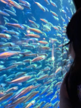 登別マリンパークニクスに投稿された画像（2023/5/27）