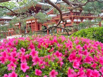 京阪電車に投稿された画像（2023/5/27）