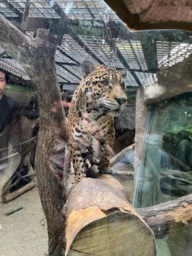 那須どうぶつ王国に投稿された画像（2023/5/27）