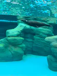 天王寺動物園に投稿された画像（2023/5/27）