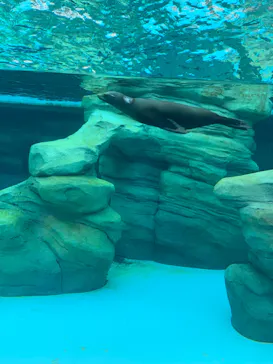 天王寺動物園に投稿された画像（2023/5/27）