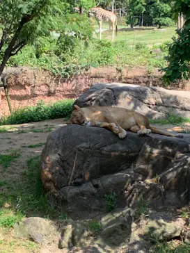 天王寺動物園に投稿された画像（2023/5/27）