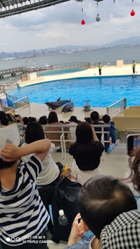 マリンワールド海の中道に投稿された画像（2023/5/27）