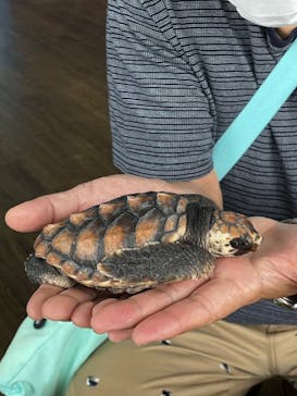 串本海中公園水族館に投稿された画像（2023/5/27）