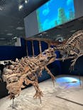 特別展「恐竜博2023」に投稿された画像（2023/5/27）