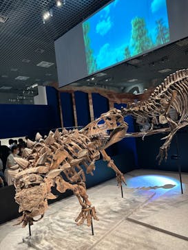 特別展「恐竜博2023」に投稿された画像（2023/5/27）