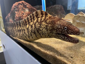 環境水族館アクアマリンふくしまに投稿された画像（2023/5/27）