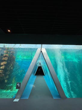 環境水族館アクアマリンふくしまに投稿された画像（2023/5/27）