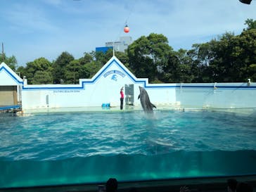 しながわ水族館に投稿された画像（2023/5/27）