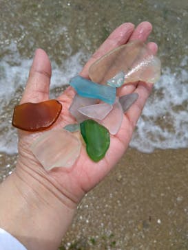 あさくちスポーツクラブ遊ぶところに投稿された画像（2023/5/27）