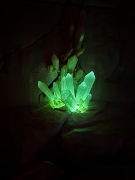 東京ジョイポリスに投稿された画像（2023/5/27）