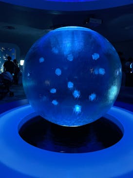 新江ノ島水族館に投稿された画像（2023/5/27）