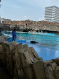名古屋港水族館に投稿された画像（2023/5/27）