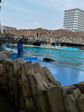 名古屋港水族館に投稿された画像（2023/5/27）