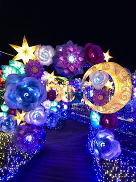 伊豆ぐらんぱる公園に投稿された画像（2023/5/27）