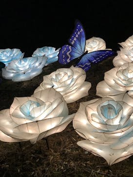 伊豆ぐらんぱる公園に投稿された画像（2023/5/27）