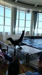 アクアワールド茨城県大洗水族館に投稿された画像（2023/5/27）
