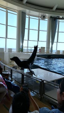 アクアワールド茨城県大洗水族館に投稿された画像（2023/5/27）