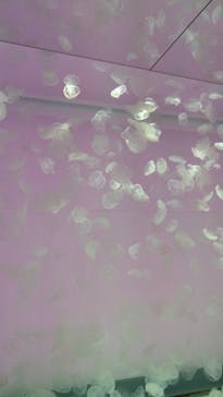 アクアワールド茨城県大洗水族館に投稿された画像（2023/5/27）