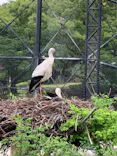 天王寺動物園に投稿された画像（2023/5/27）