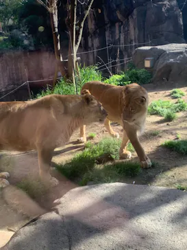 天王寺動物園に投稿された画像（2023/5/27）