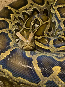 天王寺動物園に投稿された画像（2023/5/27）