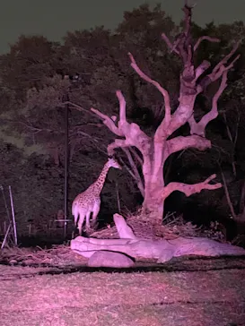 天王寺動物園に投稿された画像（2023/5/27）