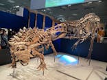特別展「恐竜博2023」に投稿された画像（2023/5/27）