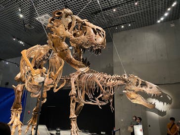 特別展「恐竜博2023」に投稿された画像（2023/5/27）