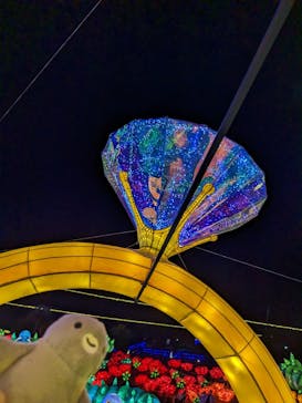 伊豆ぐらんぱる公園に投稿された画像（2023/5/27）