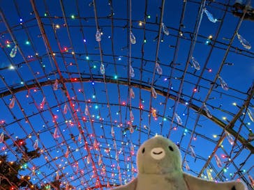 伊豆ぐらんぱる公園に投稿された画像（2023/5/27）