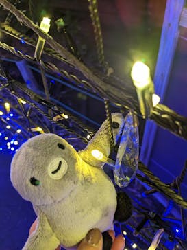 伊豆ぐらんぱる公園に投稿された画像（2023/5/27）