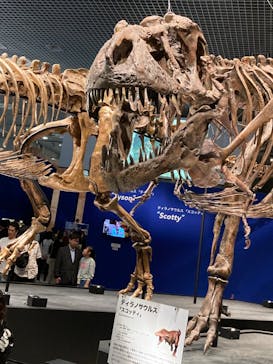 特別展「恐竜博2023」に投稿された画像（2023/5/27）