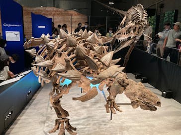 特別展「恐竜博2023」に投稿された画像（2023/5/27）