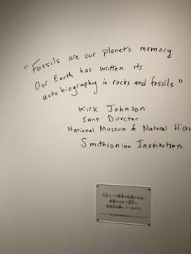 特別展「恐竜博2023」に投稿された画像（2023/5/27）