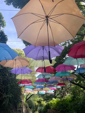 ニューヨークランプミュージアム＆フラワーガーデンに投稿された画像（2023/5/27）