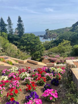 ニューヨークランプミュージアム＆フラワーガーデンに投稿された画像（2023/5/27）