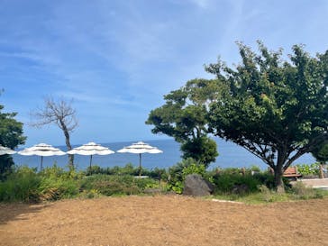 ニューヨークランプミュージアム＆フラワーガーデンに投稿された画像（2023/5/27）