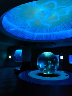 新江ノ島水族館に投稿された画像（2023/5/27）