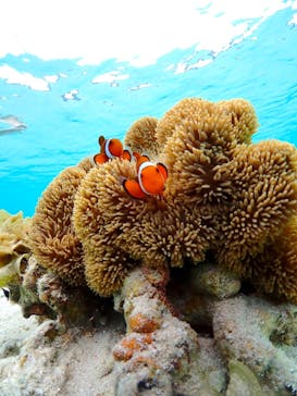 ちゃこたびに投稿された画像（2023/5/27）