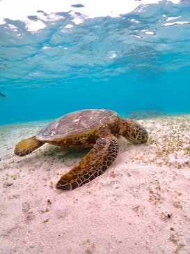 ちゃこたびに投稿された画像（2023/5/27）